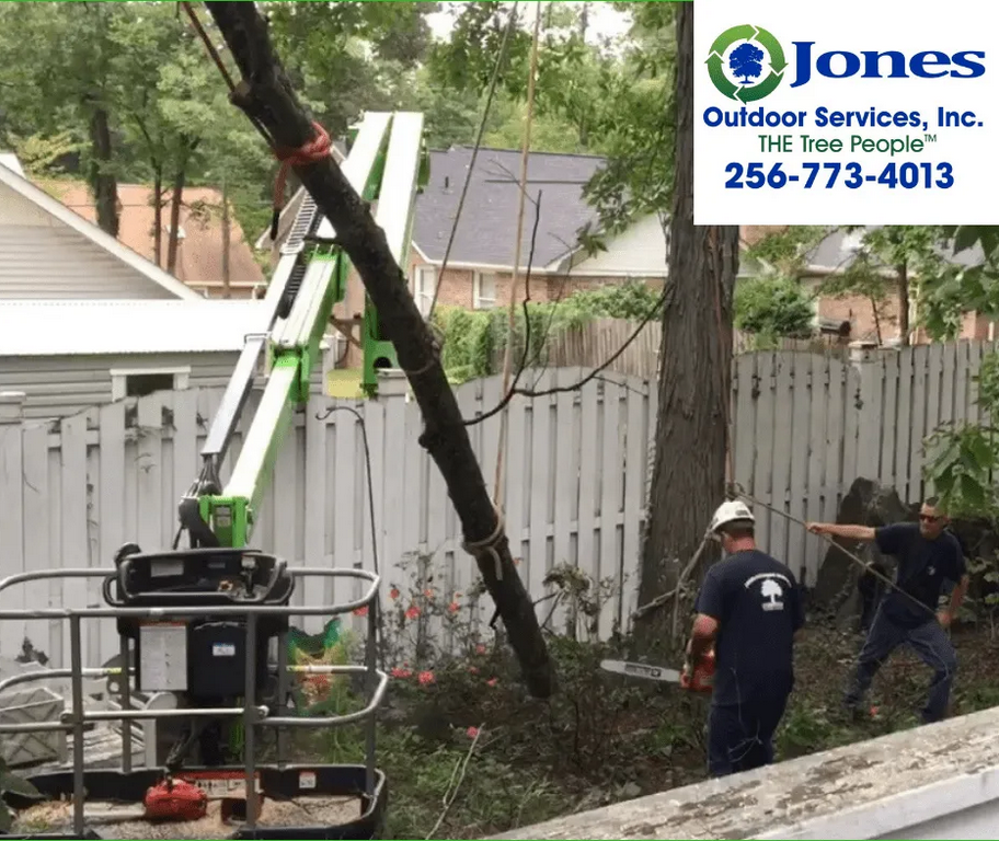 Screenshot 2022-10-07 at 21-34-14 Tree Contractors Decatur AL Jones Outdoor Services